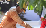 Những người lao động 